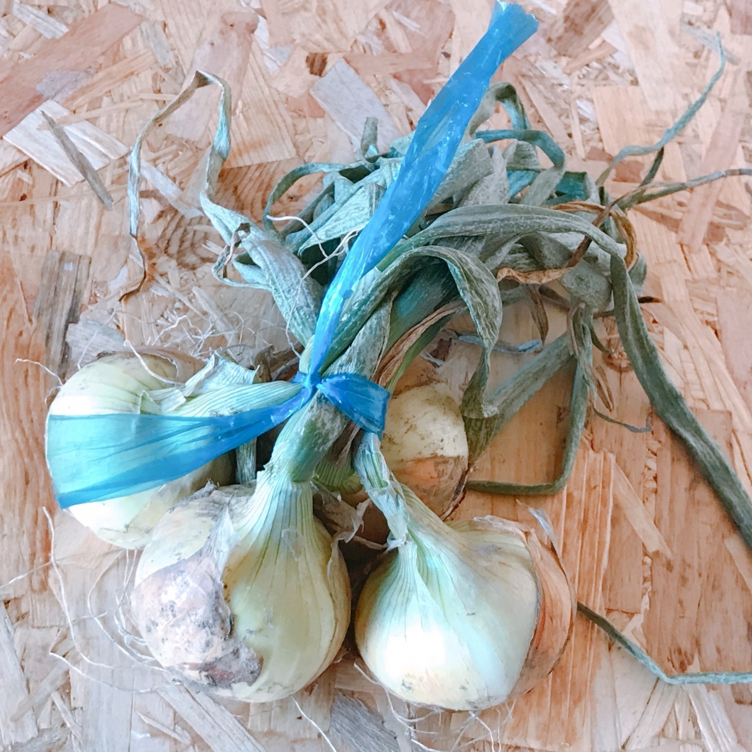 商品画像：玉ねぎ3束